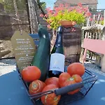 Au Pied Du Vignoble Champenois * Cunfin