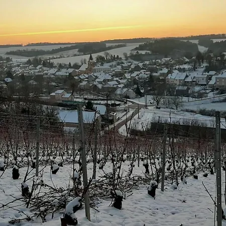 Au Pied Du Vignoble Champenois * Cunfin