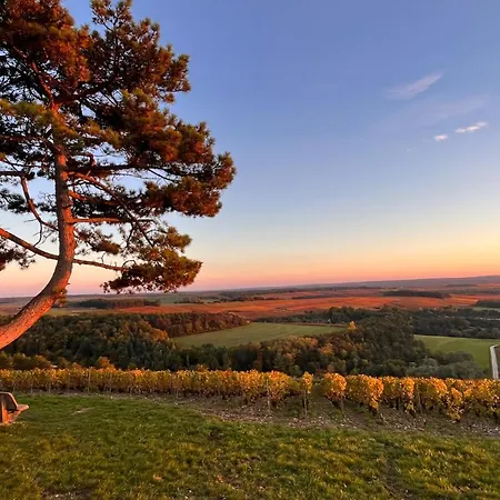 Au Pied Du Vignoble Champenois * Cunfin