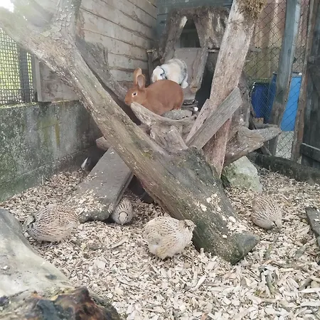 Au Pied Du Vignoble Champenois * Cunfin