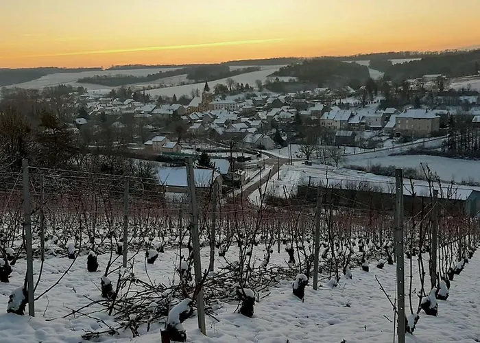 Au Pied Du Vignoble Champenois * Cunfin
