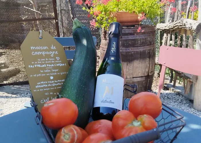 Au Pied Du Vignoble Champenois * Cunfin