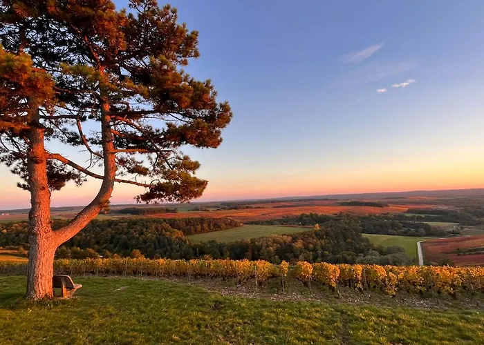 Au Pied Du Vignoble Champenois * Cunfin