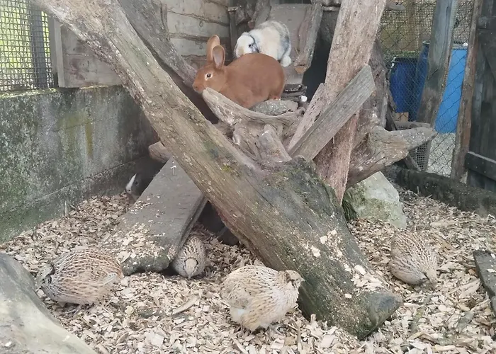 Au Pied Du Vignoble Champenois * Cunfin