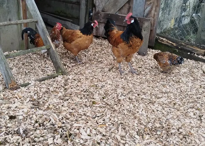 Au Pied Du Vignoble Champenois Cunfin